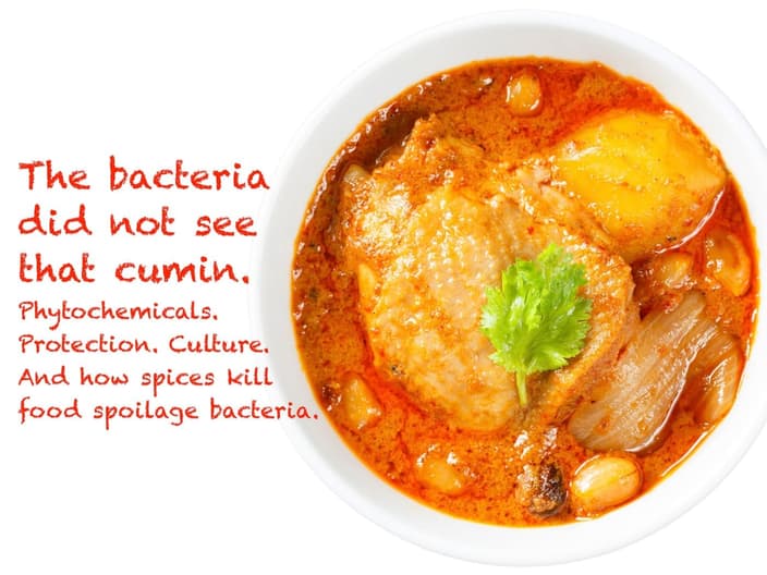spices like cuimin kill bacteria