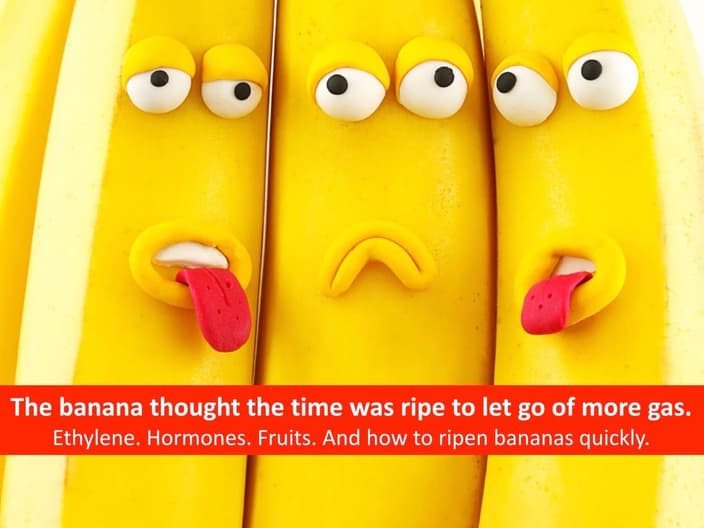 Bananas Ripened by Giving Off Ethylene Gas