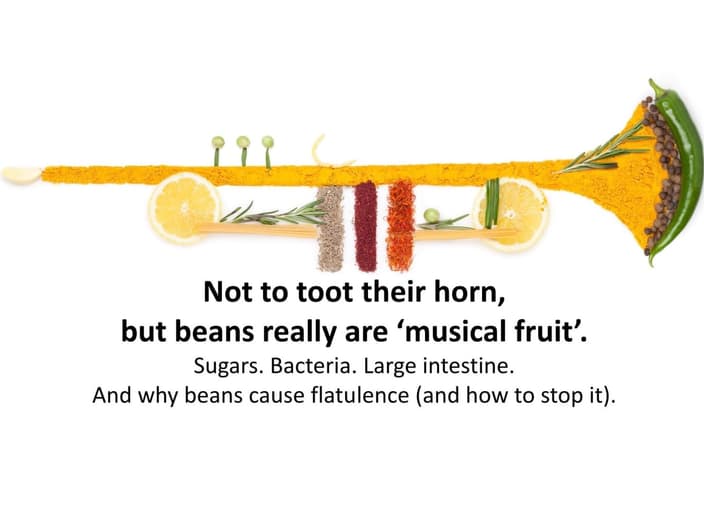 beans in the shape of a trumpet