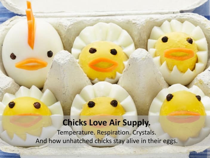 Chicks Get Air in the Egg Because the Shell is Porous