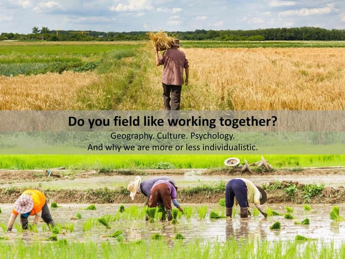 A photo of a solo wheat farmer and a photo of three rice farmers