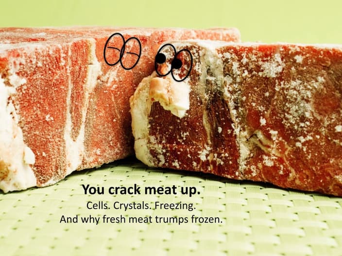 Two pieces of frozen meat with funny eyes and one cracking the other up