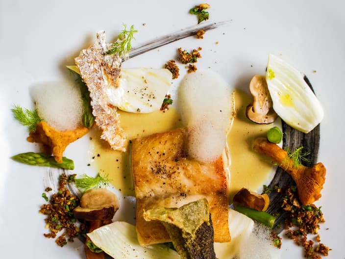 Modern plating of sea bass with asorted mushrooms, asparagus, nuts and dill, on a white plate