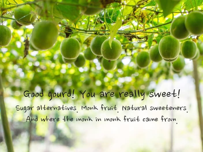 monk fruit plantation 