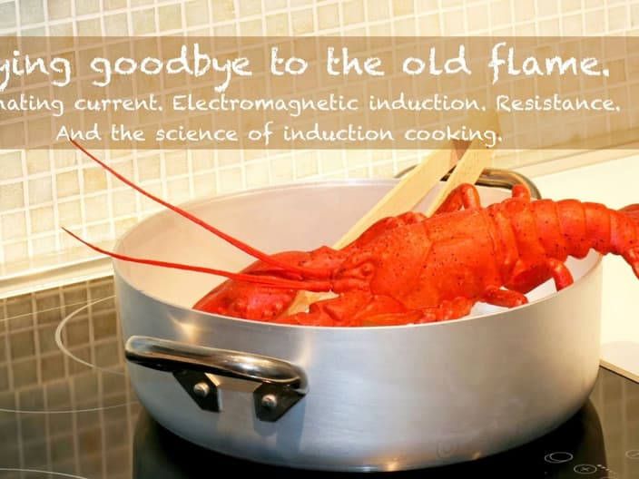 induction cooking a lobster - no flame