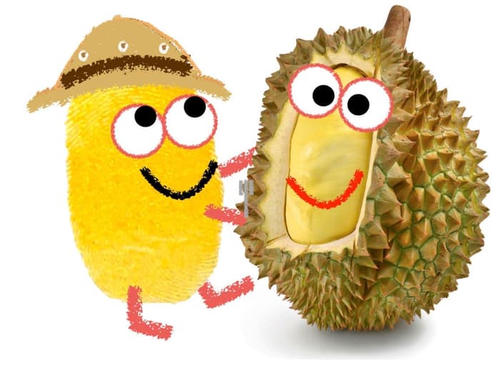 durian with nomnomenon