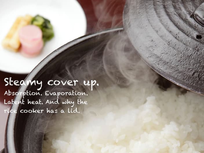 rice cooker lid