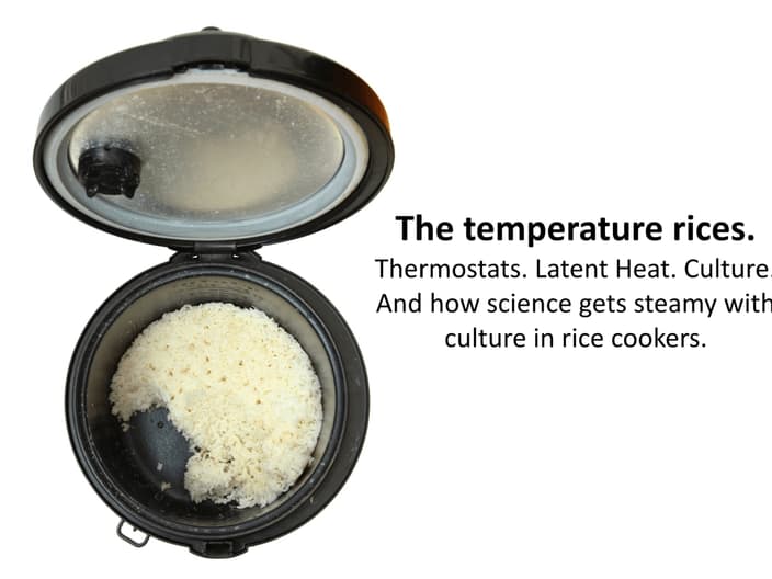 Photo of rice cooker with lid open showing cooked rice