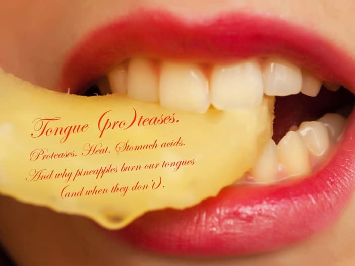 pineapple bromelain proteases enzymes