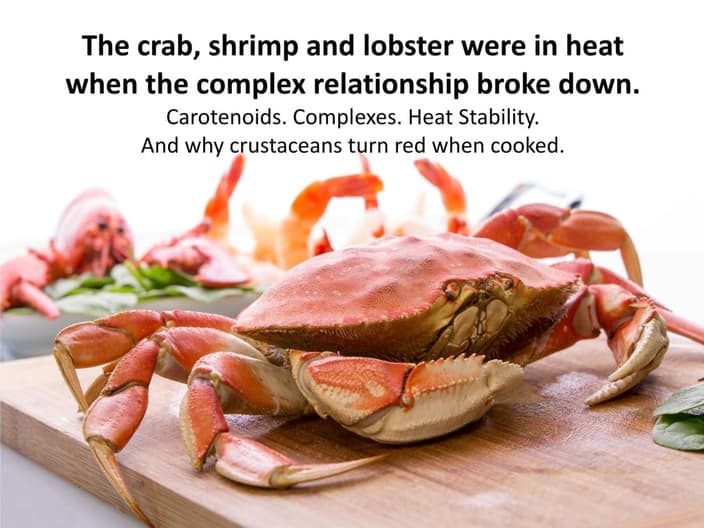 Crabs, prawns, lobsters - cooked and red