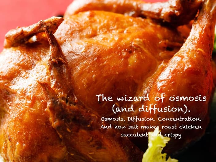 osmosis and diffusion - crispy skin and succulent meat