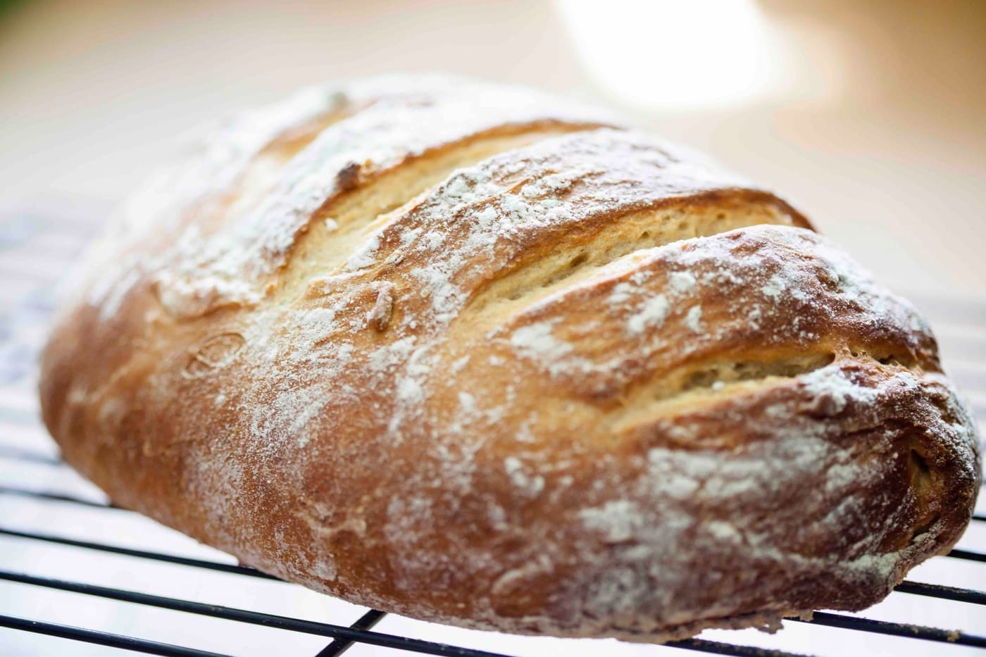 recipes for no knead breads