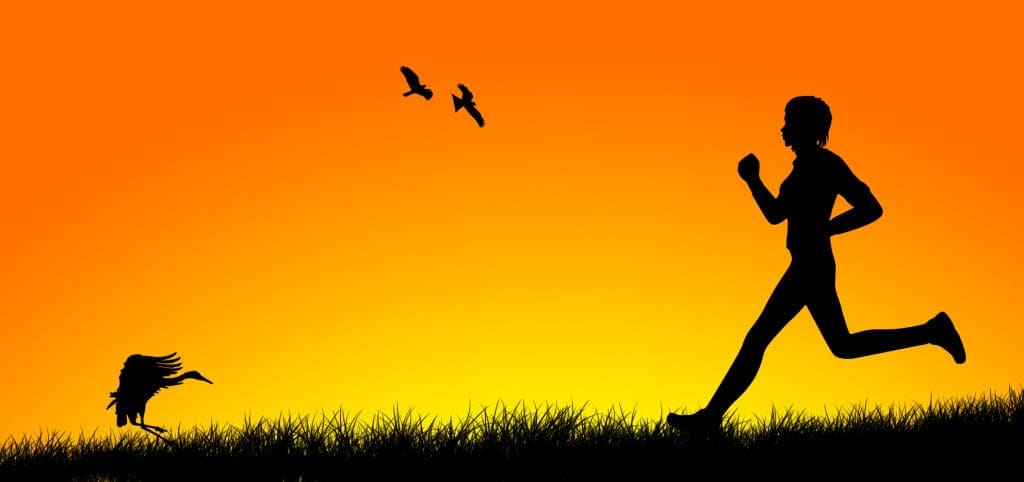 energy needs of man running, ducks at rest and flying