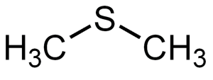 dimethyl sulfide