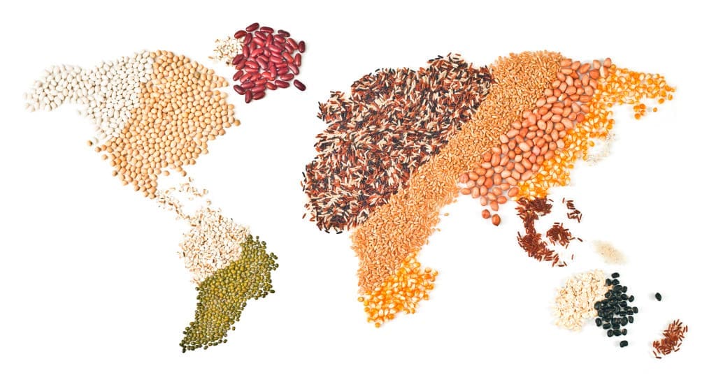global foods on white background