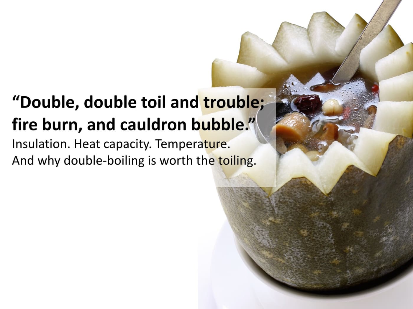 Double-boiling soup with winter melon