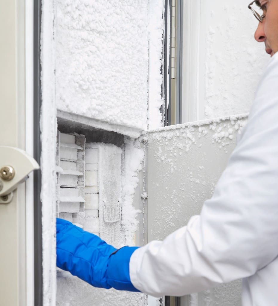 Technician Using Lab Freezer to Store Specimens