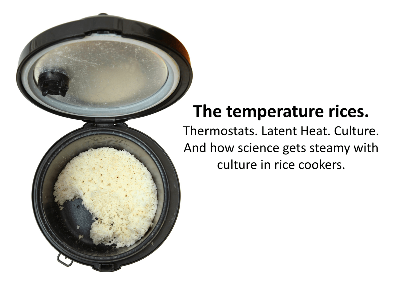 Photo of rice cooker with lid open showing cooked rice