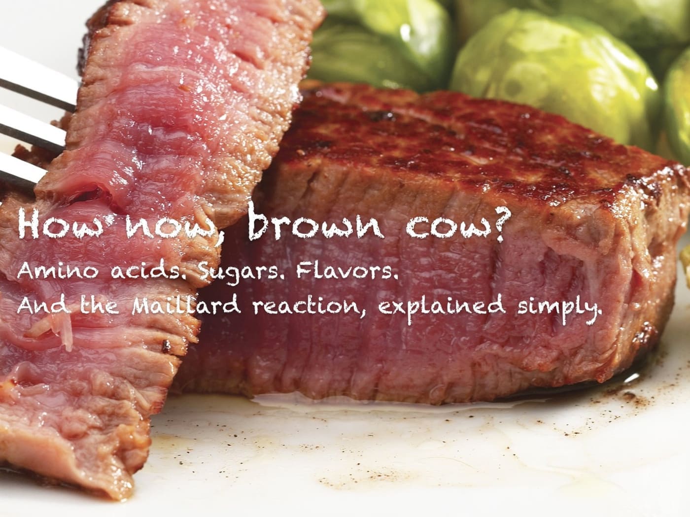 Steak - Maillard reaction
