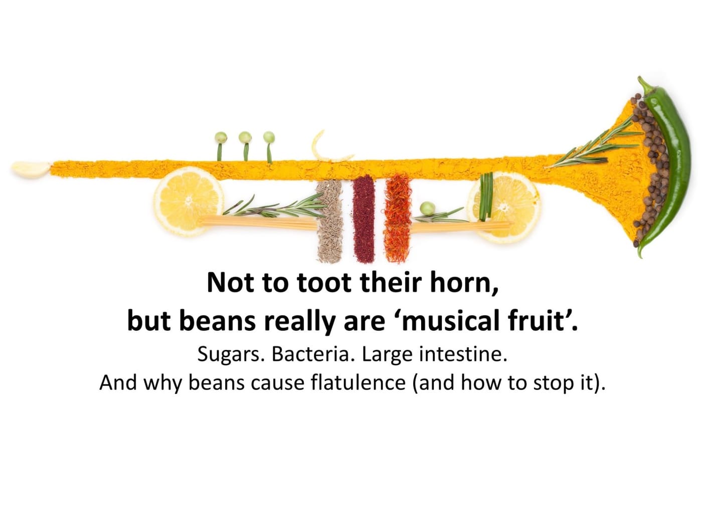 beans in the shape of a trumpet