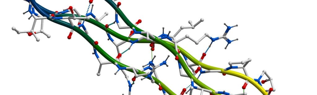 on cooling, gelatin strands want to restore triple stranded helix structure