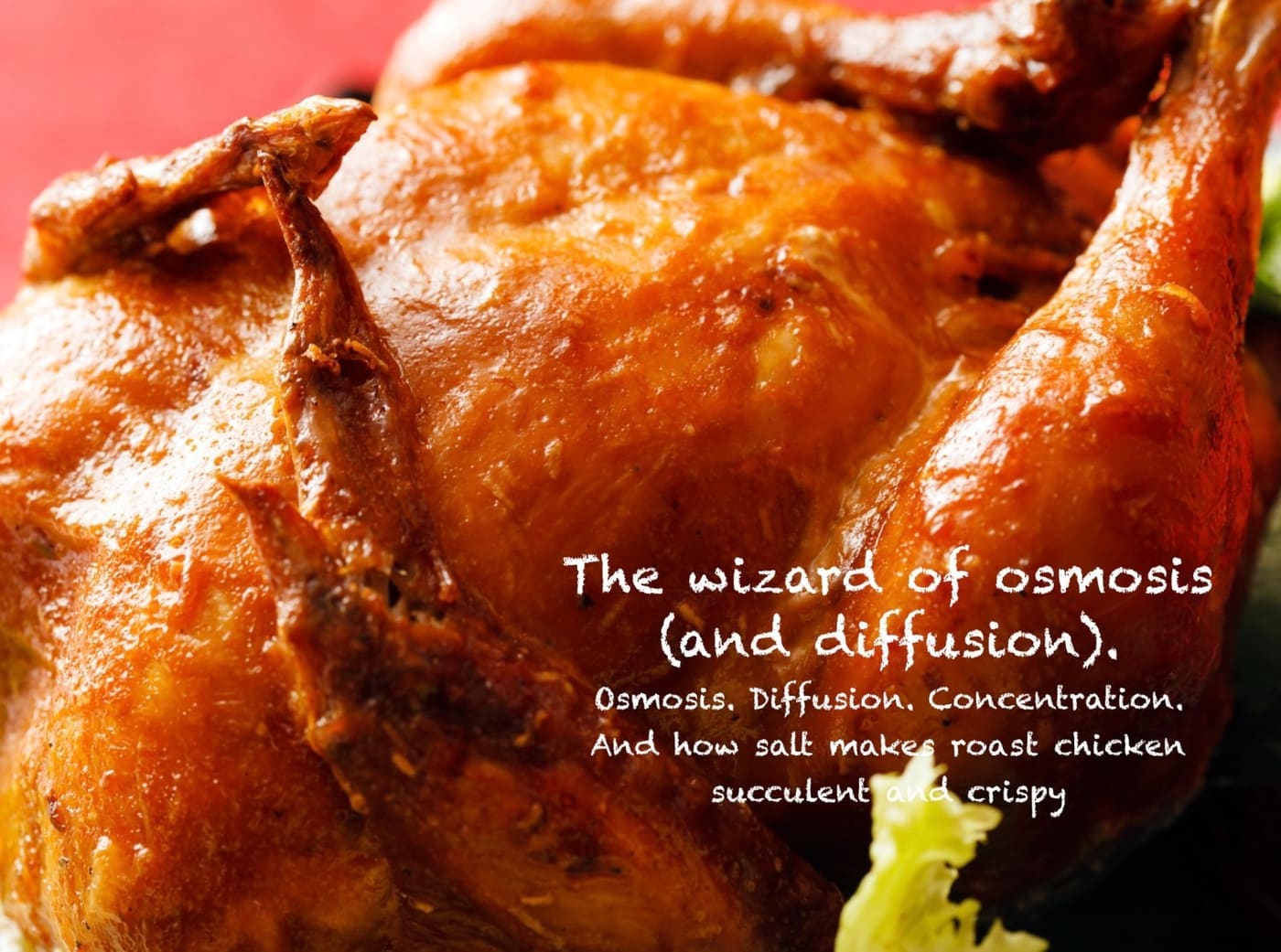 osmosis and diffusion - crispy skin and succulent meat