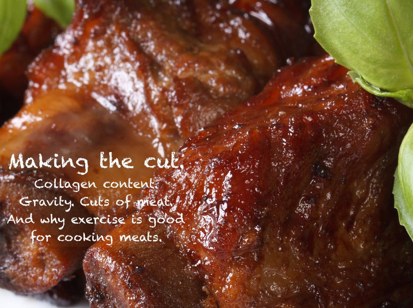 collagen content