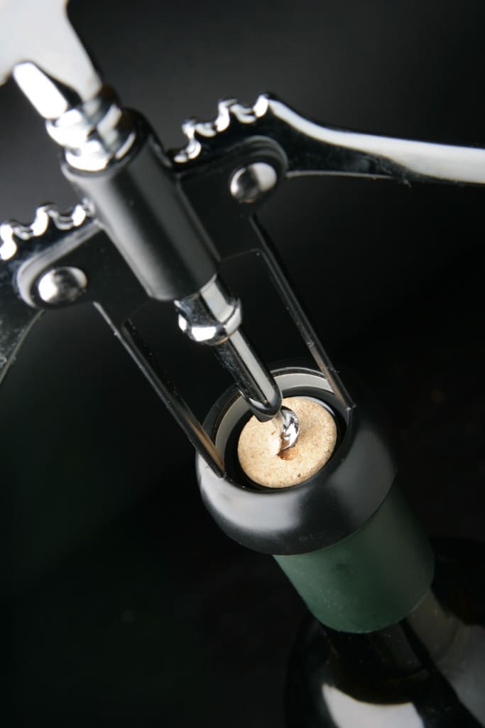 winged corkscrew - closeup