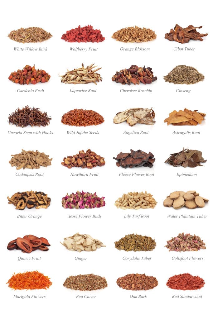 double boiling soup - Large chinese medicinal herb collection with titles, isolated over white background.