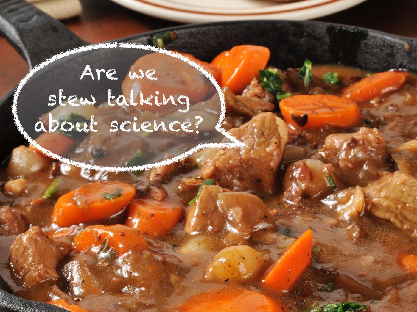gelatin in braised or stewed beef