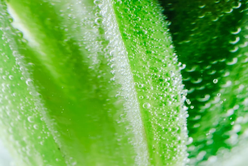 green vegetables - air pockets