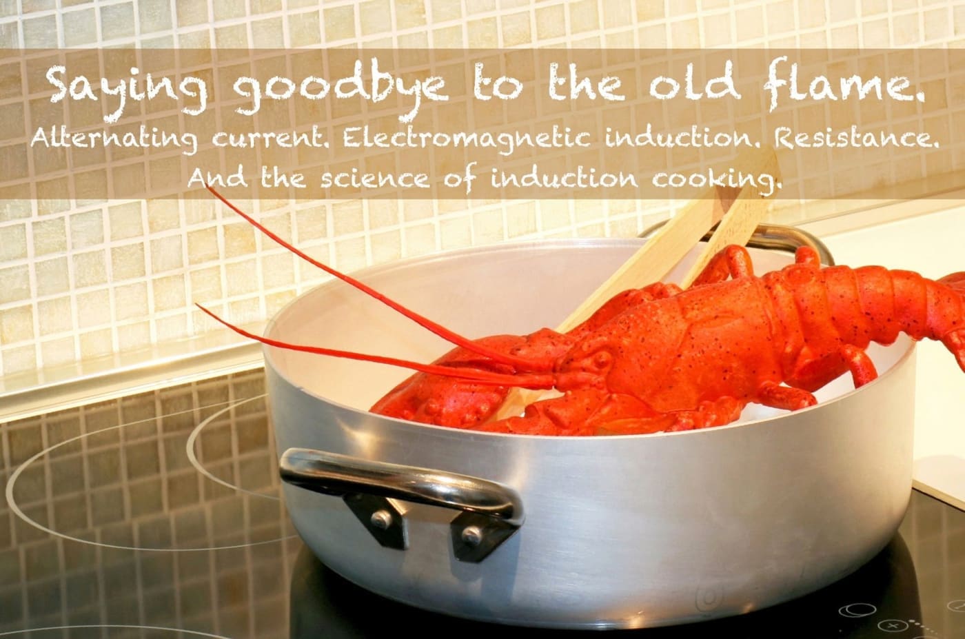 induction cooking a lobster - no flame