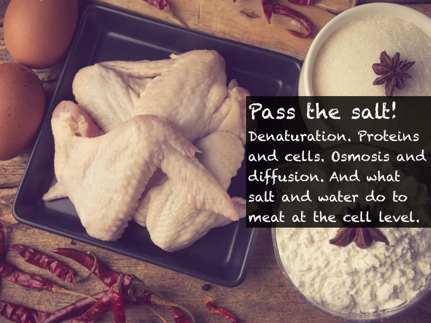 protein structure - salt, water and cells