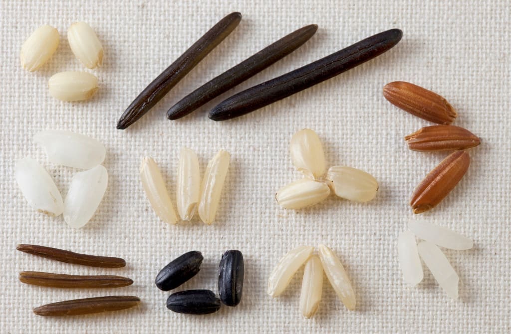 variety of rice grains on art canvas - three seeds from each kind including white and brown rice, long grain, arborio, black forbidden, and wild