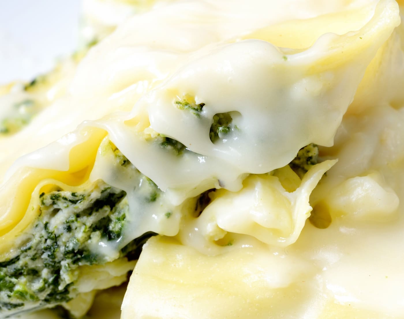 lasagna stuffed with ricotta and spinach and mozzarella with bechamel sauce (with thickeners)