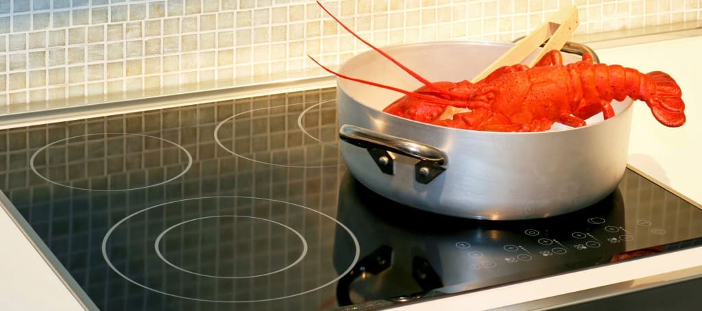 Red lobster steaming in pot on induction hob