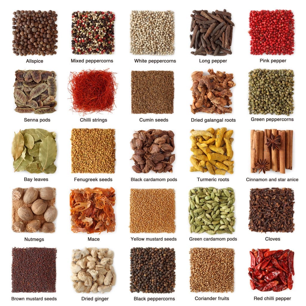 Indian spices collection with titles isolated on white background