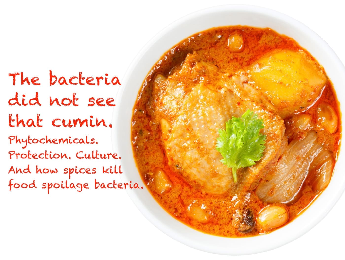 spices like cuimin kill bacteria