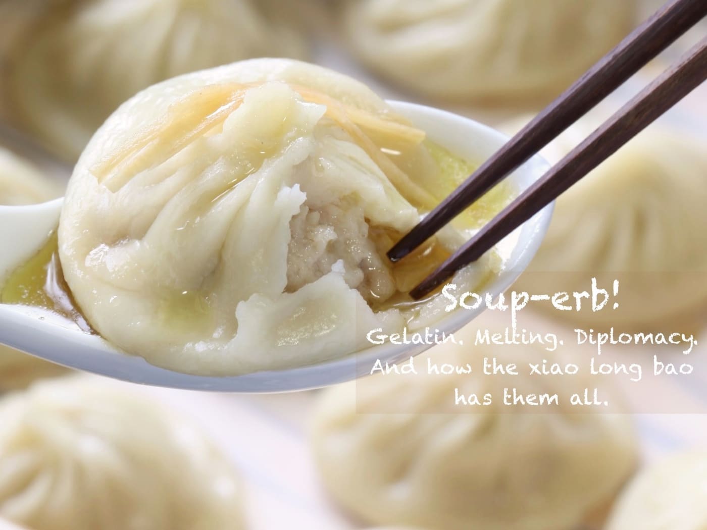 xiao long bao