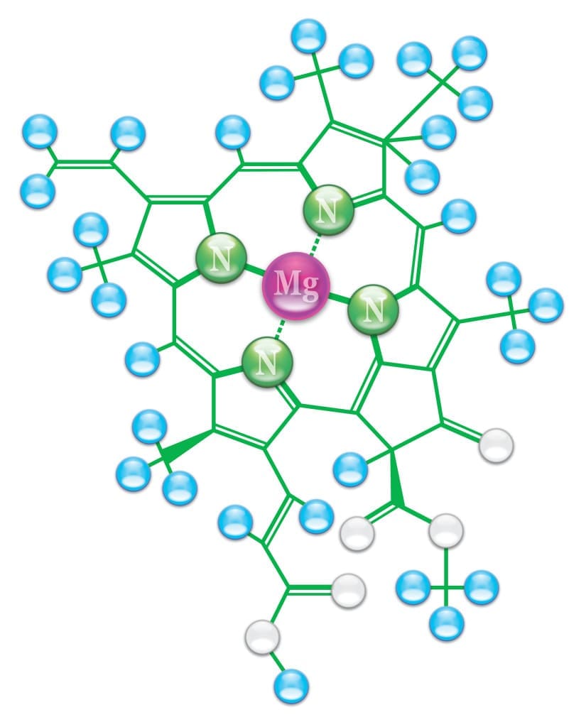 Chlorophyll chemical formula