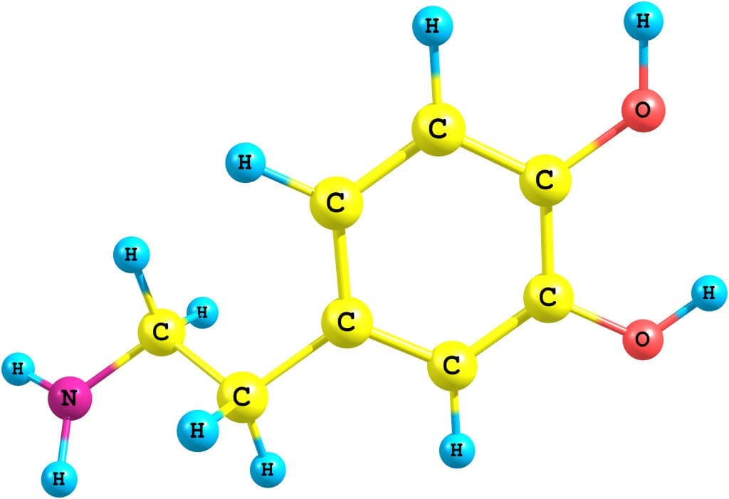 dopamine - molecular formula and structure