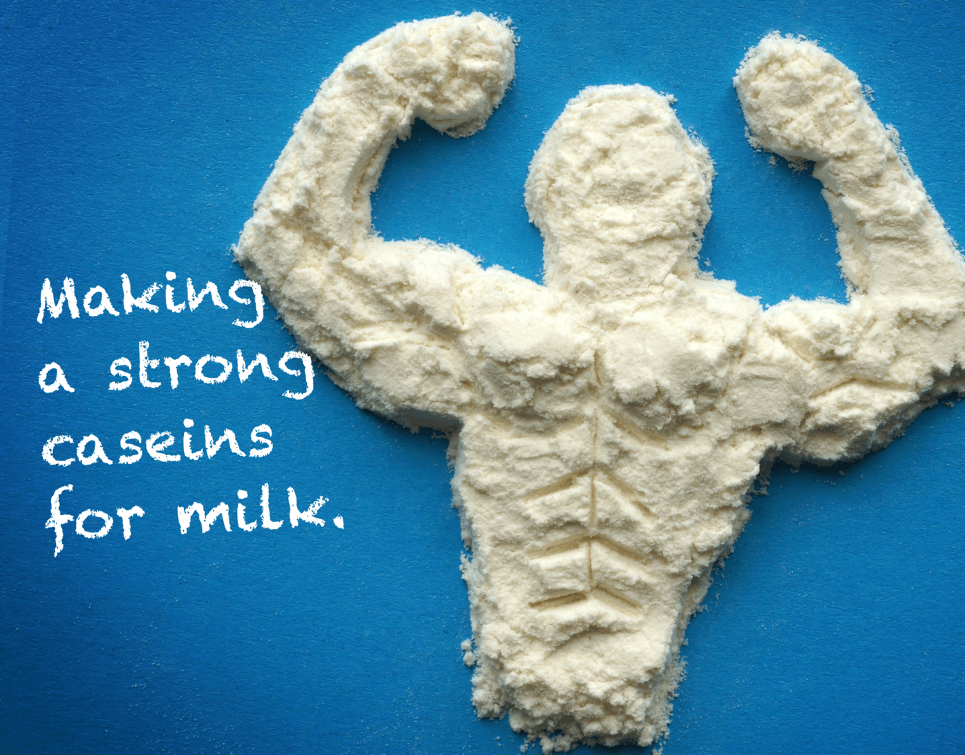 caseins proteins milk