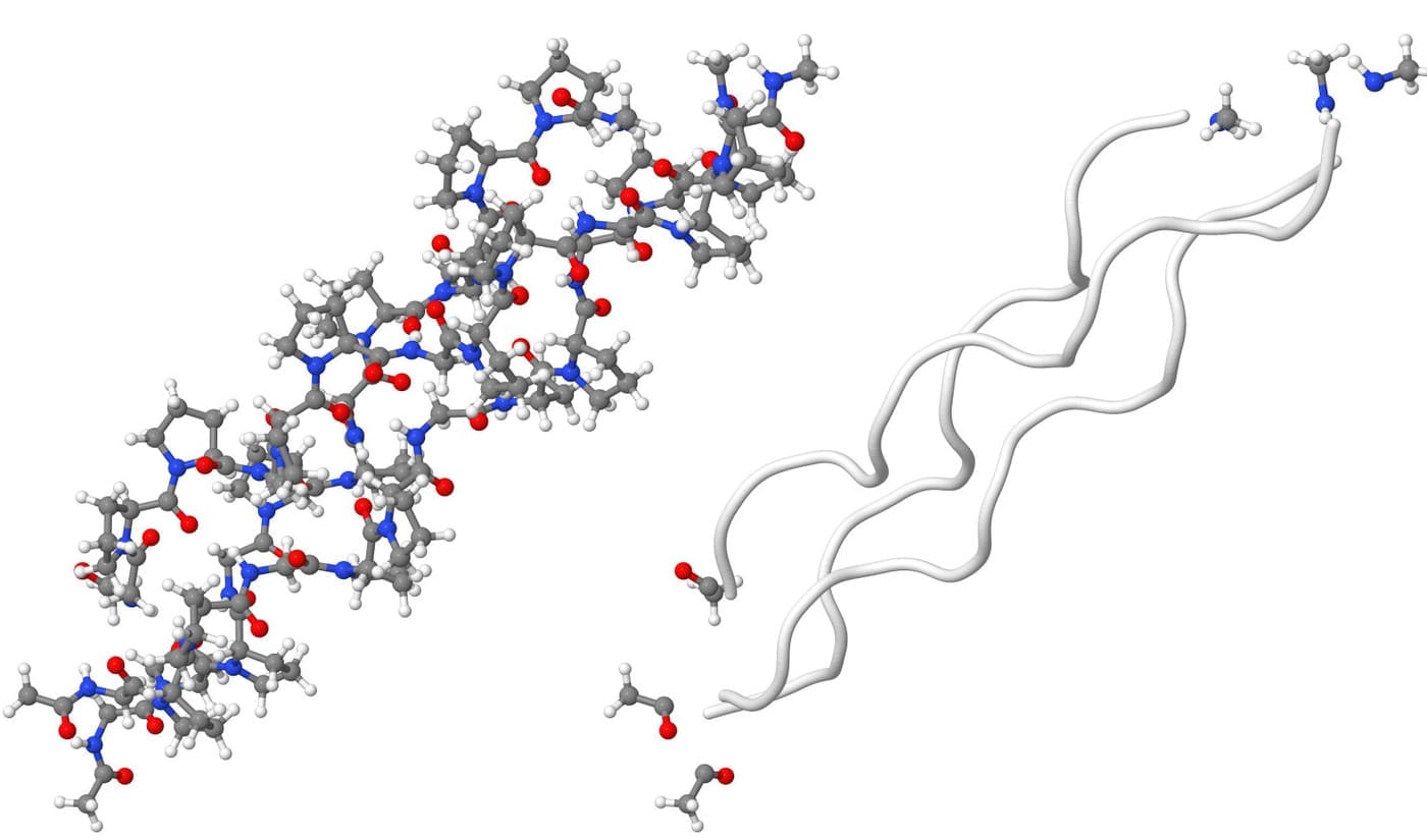 collagen - triple helix and unravelled