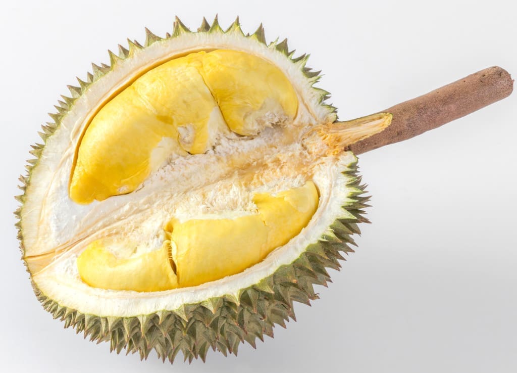 durian - half open 