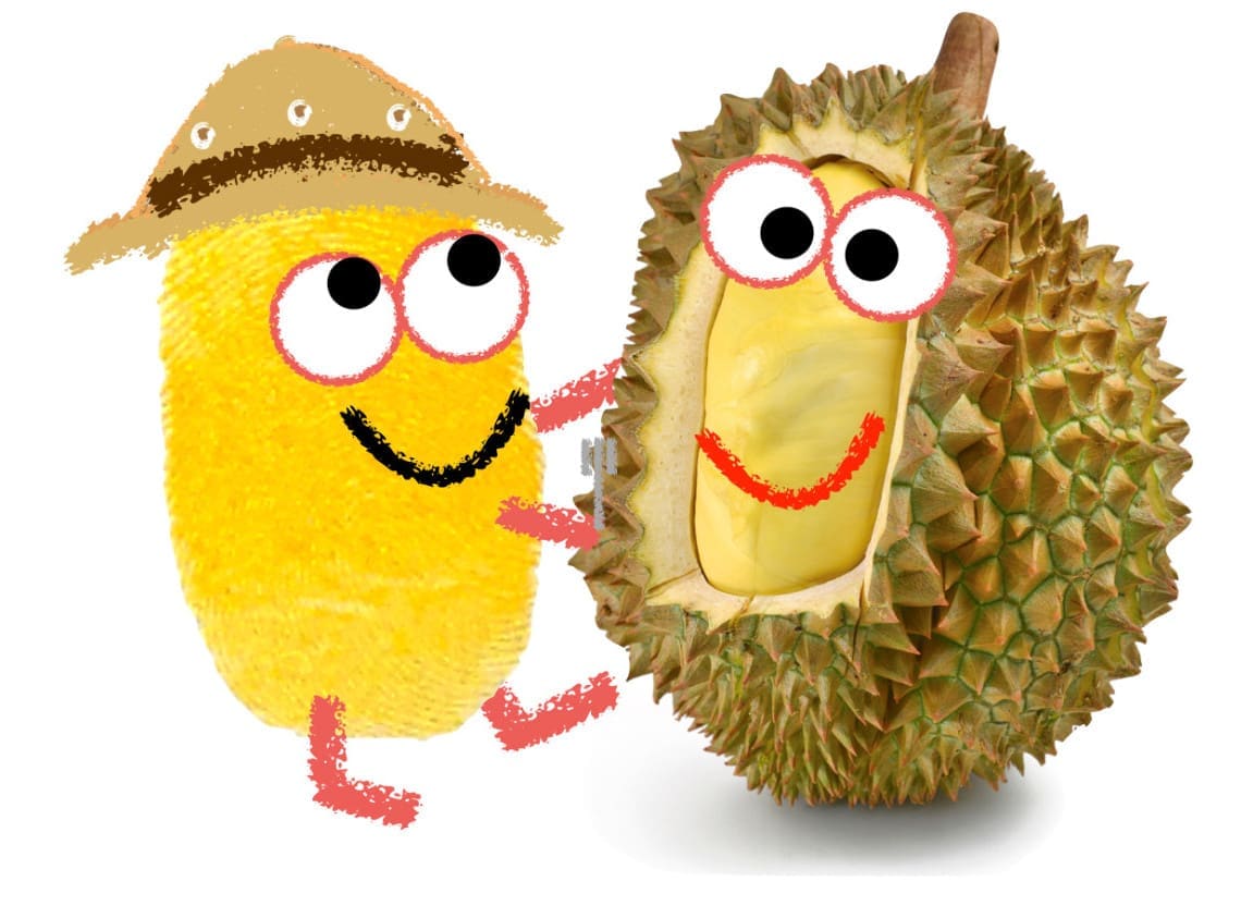durian with nomnomenon