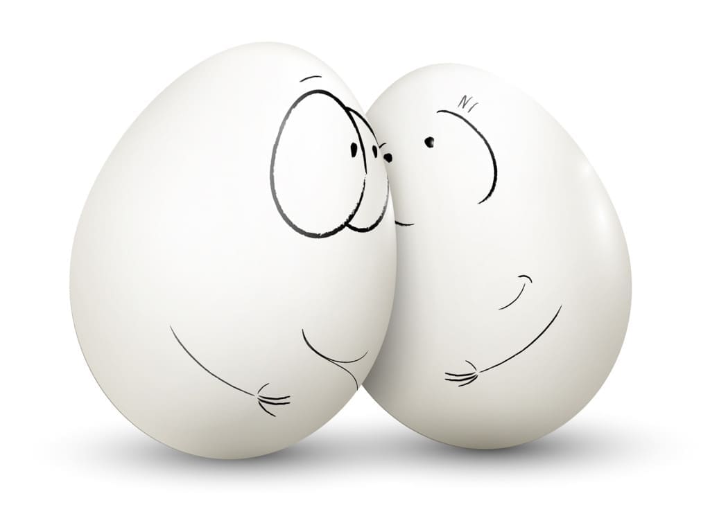 Sweet couple egg staying close to each other with love. Vector