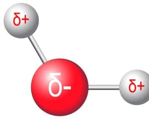 hydrogen bonds