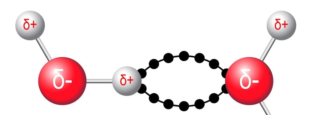 hydrogen bonding