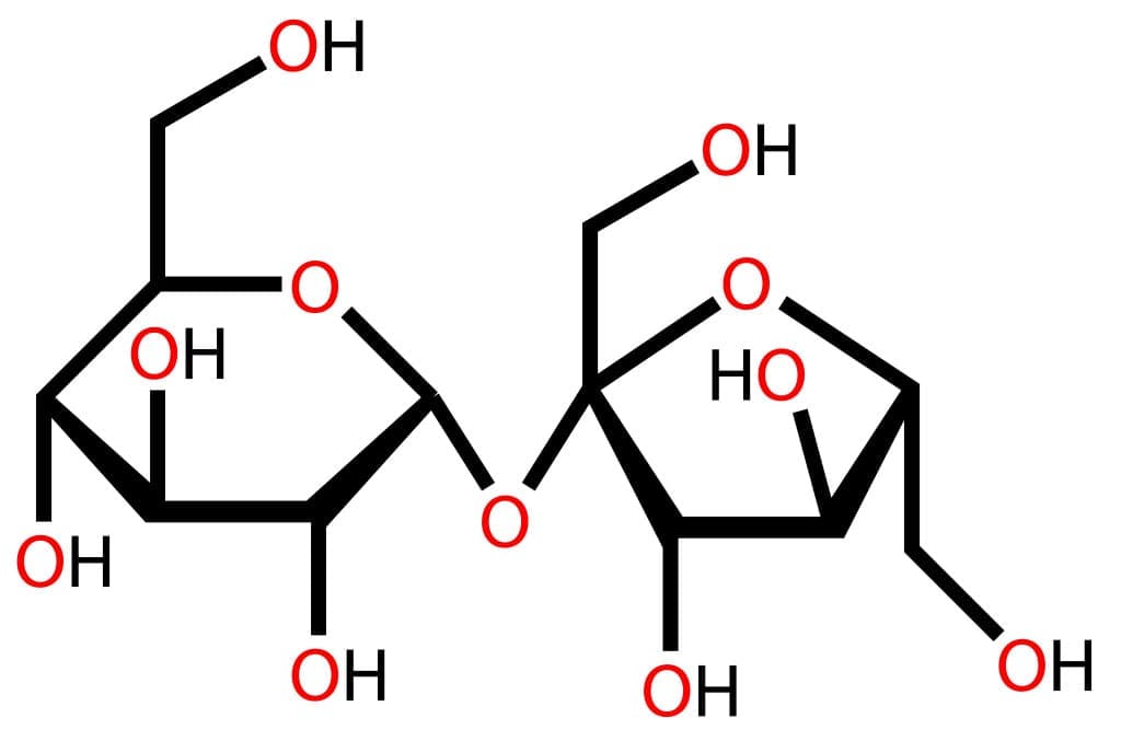 hydrogen bonding occurs between the polar sucrose molecules and polar water molecules