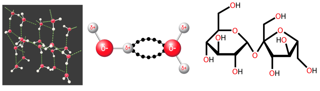 Water's molecular structure, hydrogen bonding, and sucrose molecules - find out more in the 1-Minute NomNom mentioned above